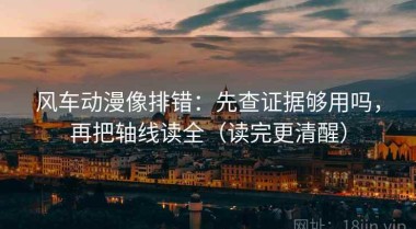 风车动漫像排错：先查证据够用吗，再把轴线读全（读完更清醒）
