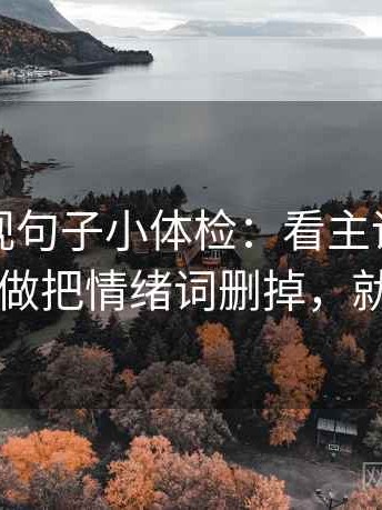 人人影视句子小体检：看主语对得上吗，做把情绪词删掉，就够了