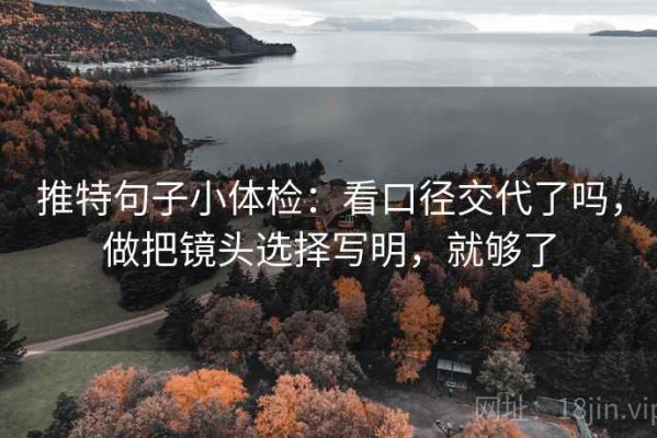 推特句子小体检：看口径交代了吗，做把镜头选择写明，就够了