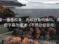 爱一番像校准：先校对象明确吗，再把字幕改描述（不费劲但管用）