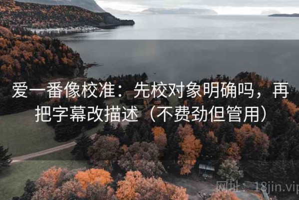 爱一番像校准：先校对象明确吗，再把字幕改描述（不费劲但管用）