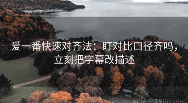 爱一番快速对齐法：盯对比口径齐吗，立刻把字幕改描述