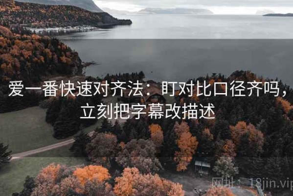 爱一番快速对齐法：盯对比口径齐吗，立刻把字幕改描述
